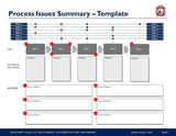 This image shows a "Purchase Only | No Online Access project issues summary template" with a grid layout detailing roles, tasks, key process steps, and key issues. Each role is linked to specific tasks through horizontal connector.